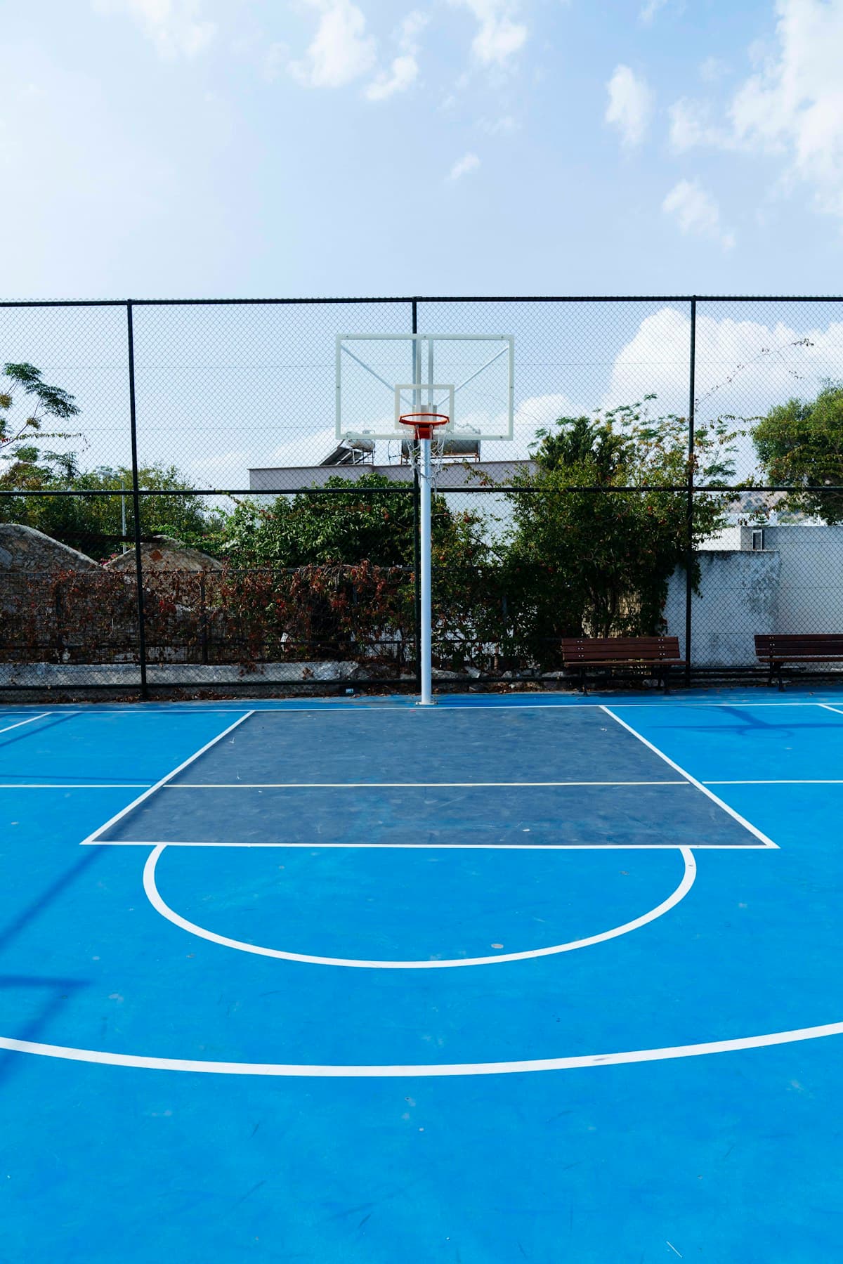 Basketball environment